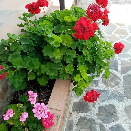 Le Cicale Alojamento de Acomodação e Pequeno-almoço Agropoli