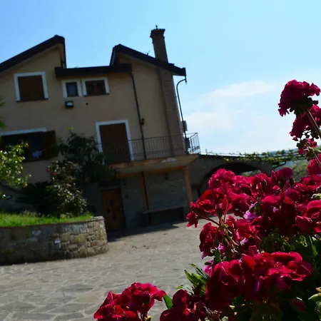 Le Cicale