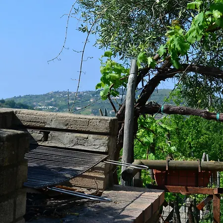 Le Cicale B&B